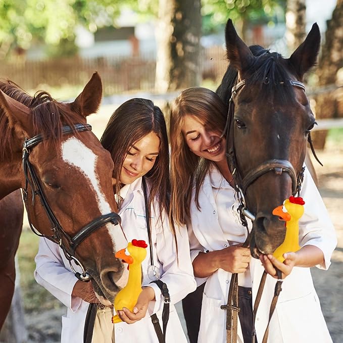 Hungdao 2 Pcs Rubber Chicken Squeaky Dog Toy 11 Inches Horse Toys Latex Reduce Separation Anxiety Screaming Chicken Toy for Small, Medium or Large Horse Pet (Yellow)