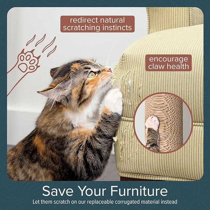 Cat Climbing Wall System – Modern Floating Shelves & Perches for Cats - Sunrise Steps | Ascentials by FurHaven