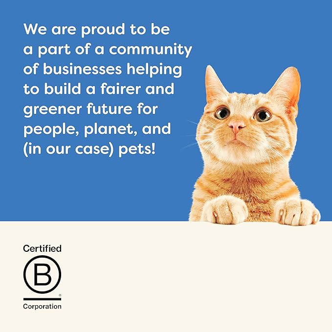 Applaws Natural Wet Cat Food, 24 Pack, Limited Ingredient Canned Wet Cat Food, Tuna Fillet in Broth, 2.47oz Cans