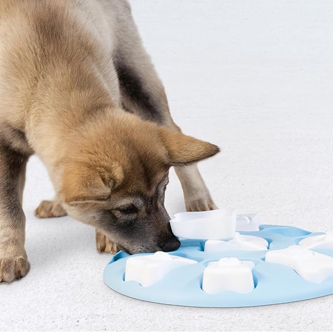 Outward Hound by Nina Ottosson Puppy Smart Treat Puzzle Enrichment Toy, Level 1 Beginner, Blue