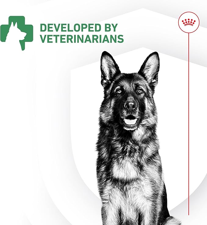 Royal Canin Probiotics for Dogs Digestive and Immune Health Powder Supplement for Canines of All Ages, 30 Count