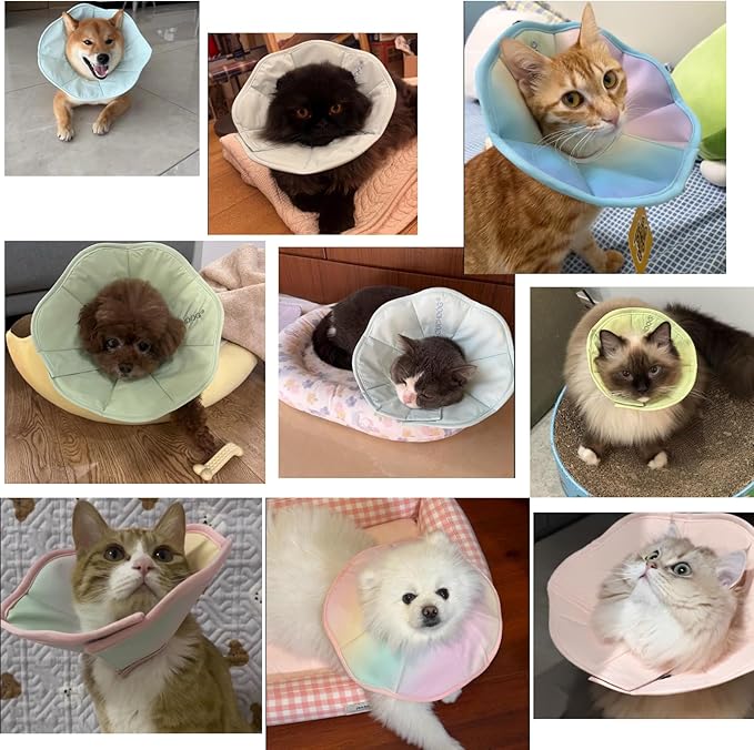 Touchdog Foldable Dog Cone Collar for Cats & Dogs - Adjustable Soft Recovery Collar with Waterproof PU Coating, Lightweight Design, 24.5cm/9.6in Wide Barrier (Green, S)