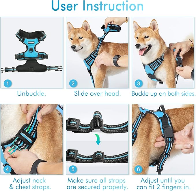 rabbitgoo Dog Harness No Pull with 2 Leash Clips, Adjustable Soft Padded, Reflective Oxford No Choke Pet Vest with Easy Control Handle for Medium Sized Dogs, Blue, M
