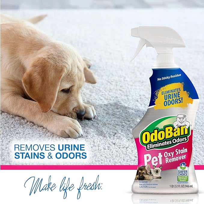 OdoBan Pet Solutions Oxy Stain Remover, Pet Stain Eliminator, Made in the USA, 6-Pack, 32 Ounce Spray Each