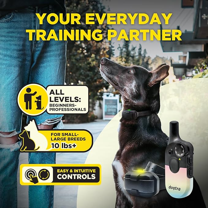 Dogtra 200iQ Remote Training E Collar – 100 Levels, Tone, Vibration, 1/2 Mile Range – Compact, Waterproof, One-Handed Control for Dogs 10 lbs+ – Lightweight Design for Daily Training – Sunset