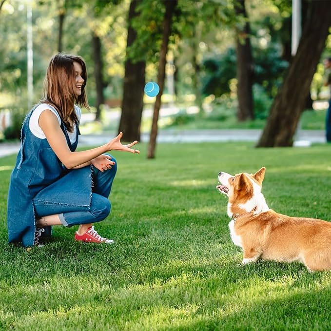 Prime Pets Squeaky Balls for Dogs, 2.5 Inch Dog Squeaky Toys, Interactive Dog Toy Tennis Balls for Indoor Outdoor, Squeak Toys for Medium, Large Dogs