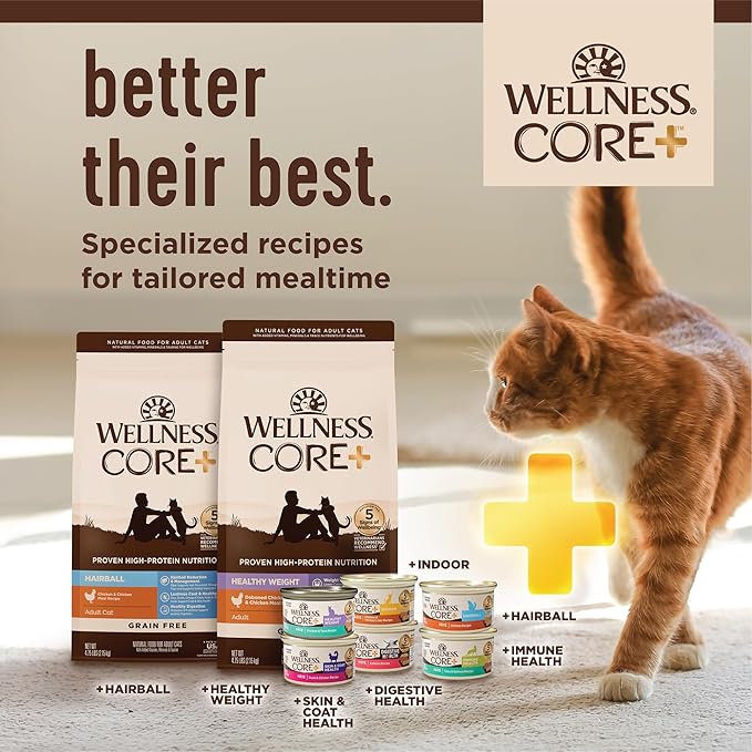 Wellness CORE+ Healthy Weight Pate Adult Wet Cat Food, Natural, Protein-Rich, Grain Free, 2.8 Ounce, 12 Pack (Chicken & Tuna)