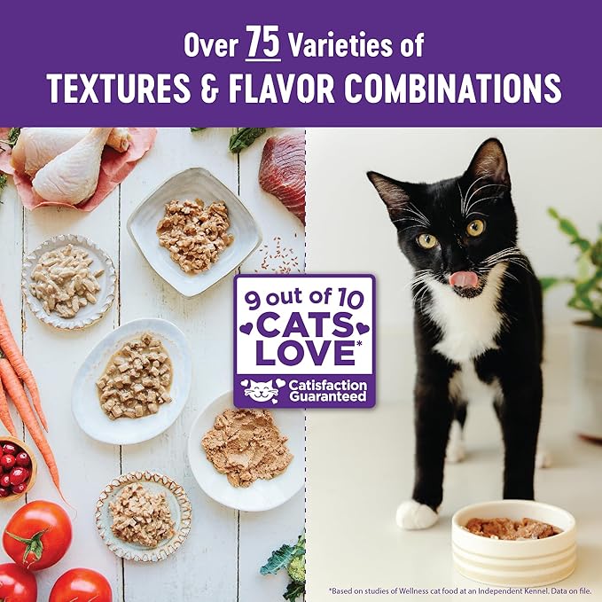Wellness Healthly Indulgence Morsels Adult Wet Cat Food, Natural, Protein-Rich, Grain-Free, 3 Ounce Pouch, 24 Pack, (Chicken & Chicken Liver)