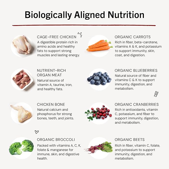 Stella & Chewy's Freeze-Dried Raw Dinner Patties - Chicken Recipe - High Protein Grain-Free Puppy & Dog Food - Perfect For Picky Eaters - 25 oz