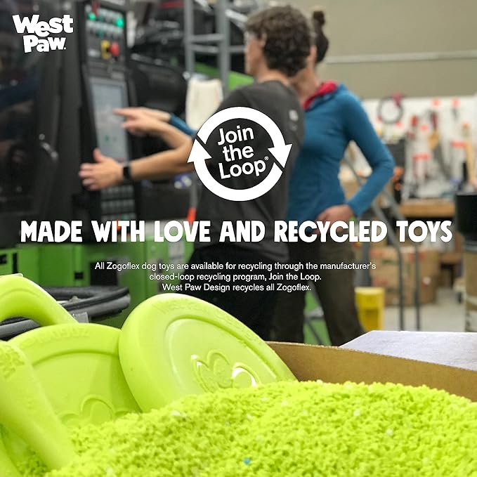 West Paw Zogoflex Qwizl Interactive Treat Dispensing Dog Puzzle Treat Toy for Dogs, Granny Smith, Large