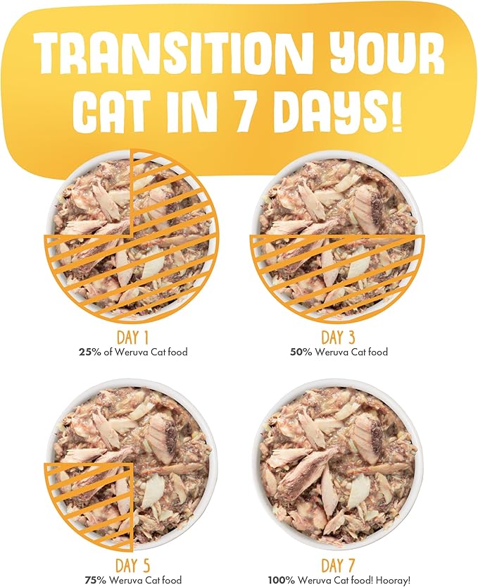 Weruva Classic Cat Food, Amazon Livin' with Chicken Breast & Chicken Liver in Gravy, 5.5oz Can (Pack of 24)