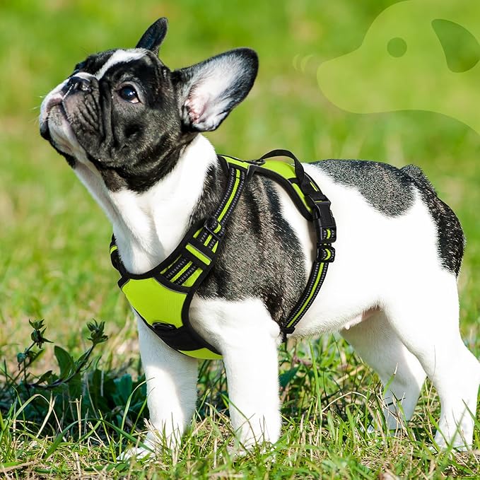 Eagloo Dog Harness Small Sized Dog, No Pull Service Vest with Reflective Strips and Control Handle, Adjustable and Comfortable for Walking, No Choke Pet Harness with 2 Metal Rings, Green, S