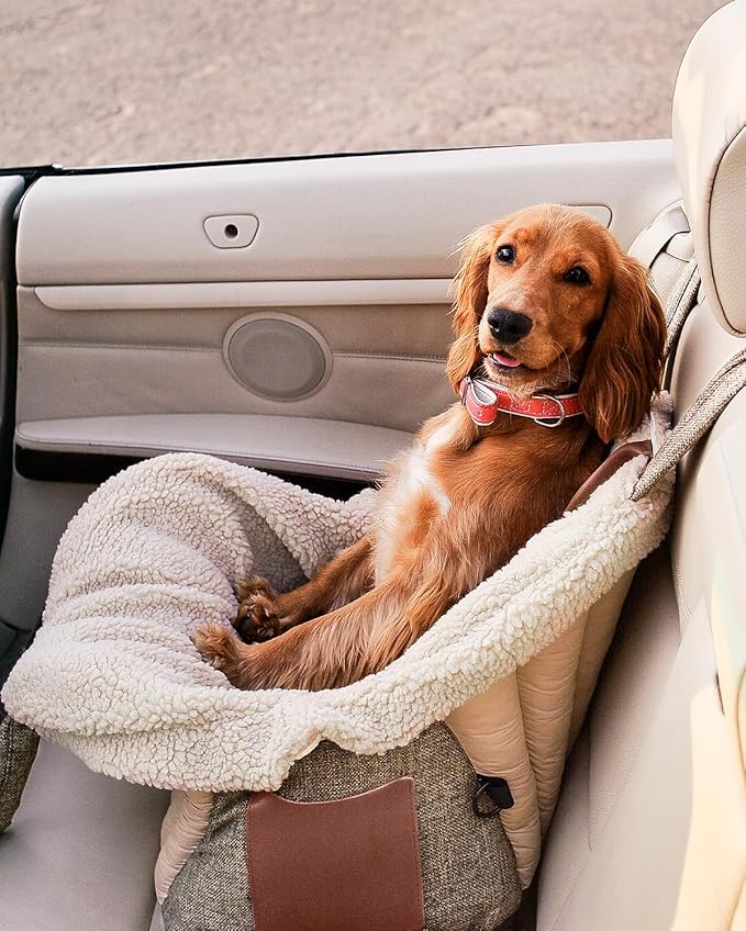 Dog Travel Bag | Cat Carrier | Small Pet Taxi | Lightweight Soft-Sided Tote, Car-Seat Compatible, Washable, 6–20 lb | Vegan Materials | Brown