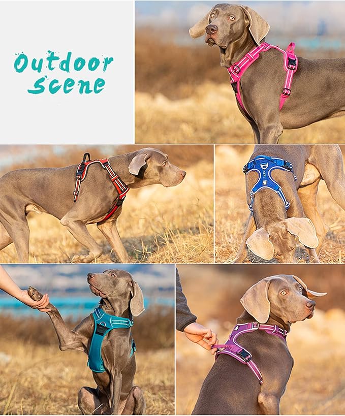 TRUE LOVE Truelove Dog Harness No Pull Nylon Reflective Pet Harness Adjustable Comfortable Control Step-in Brilliant Colors TLH56512