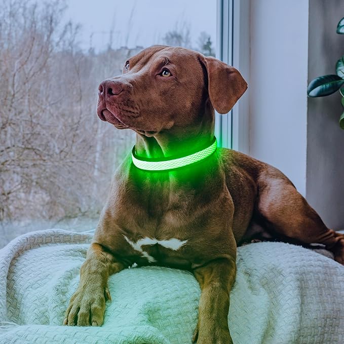 LED Dog Collar, Light Up Dog Collar USB Rechargeable, Brightest Dog Lights for Night Walking, Adjustable Dog Collar Light for Dog Safety(Small, Neon Green)