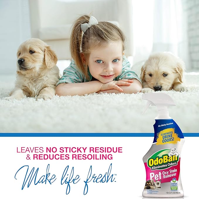 OdoBan Pet Solutions Oxy Stain Remover, Pet Stain Eliminator, Made in the USA, 6-Pack, 32 Ounce Spray Each