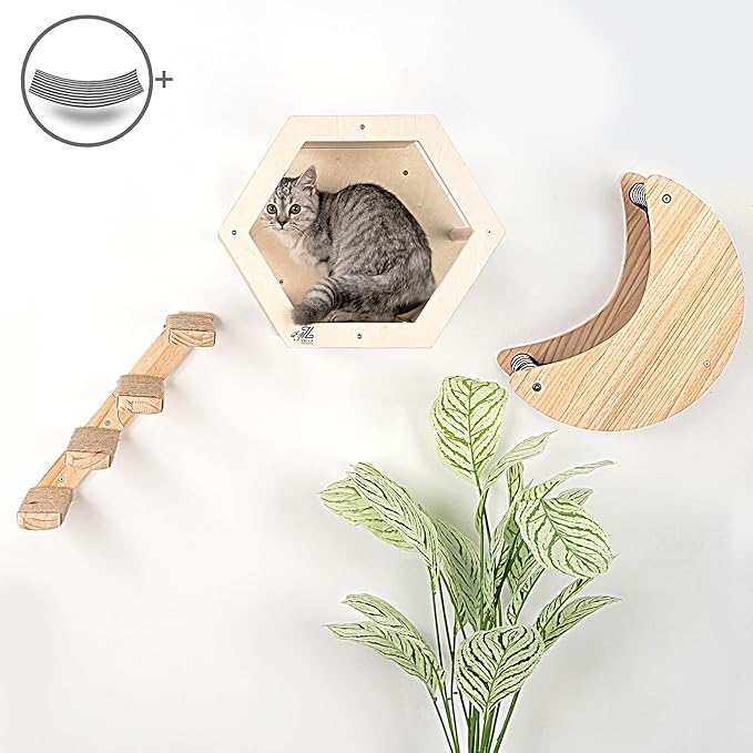 3-Piece Cat Wall Furniture Set - Hammock, Hexagon House, Climbing Steps - Wall Mounted Shelves, Perches, and Beds - Modern Design for Large Cats and Kittens & Spare Hammock Fabric Included