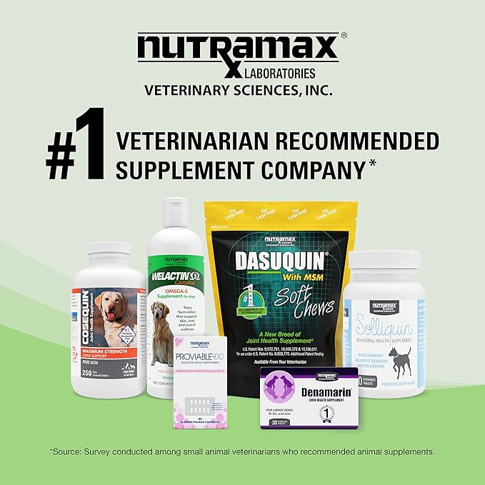 Nutramax Laboratories Denosyl Liver and Brain Health Supplement for Large Dogs, With S-Adenosylmethionine (SAMe), 30 Tablets