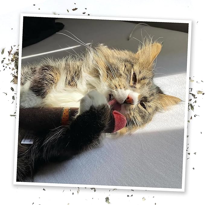 Meowijuana | Catnip Filled Cigar Toy | Promotes Play and Cat Health | Includes Organic Catnip Grown in North America | Feline and Cat Lover Approved