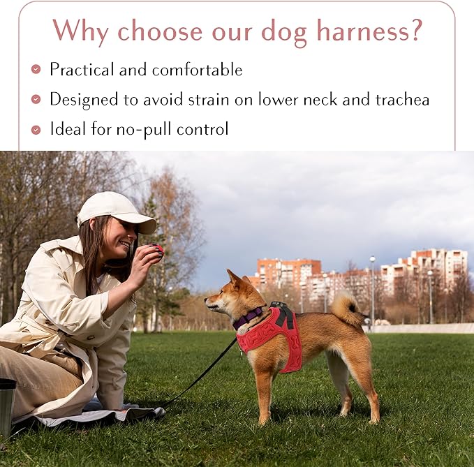 Comfort fit Step-in Dog & Puppy Harness - Comfortable All Weather Dog Vest Harness: Adjustable, Soft Padded, Easy to Put-on for Small, Medium-Sized Dogs.