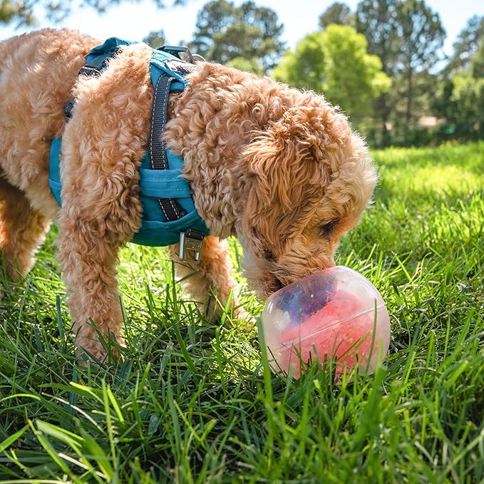 Outward Hound Nina Ottosson Topsy Treat Ball Dog Puzzle Interactive Treat Puzzle Dog Enrichment Dog Toy, Level 1 Beginner, Orange