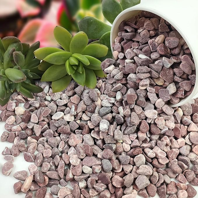2 lbs Succulent and Cactus Pebbles Gravel, 3/8 Inch Decorative Red River Rocks for Plants Indoor, Vases, Terrarium, Potted Top Dressing and Outdoor Decorative Stones