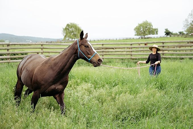 22' Long Line with SS O Ring and Carabiner (Red)