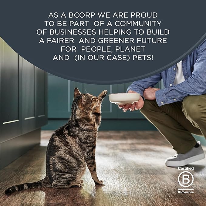 Reveal Natural Whole Protein Fillet Cat Treats, Single Ingredient, Grain Free, High Protein Treats for Cats, for Training, Treating, or Snacking, Whole Mackerel Loin (12 x 1.06 oz Loin)