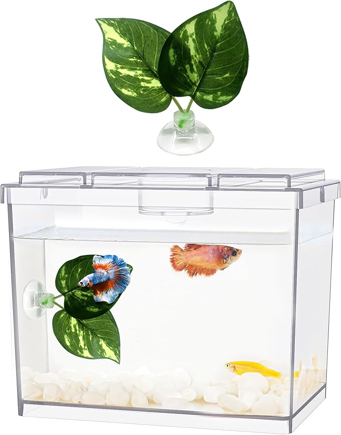 Aquariums & Fish Bowls