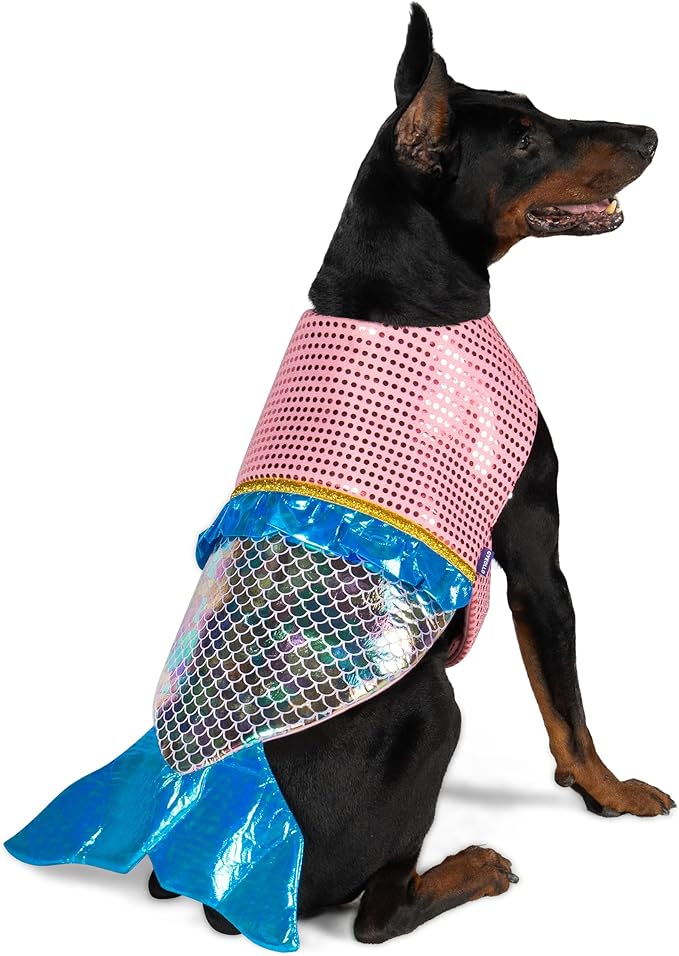 Apparel & Accessories