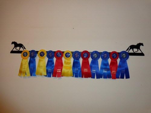Showoff Black 14ga Steel Award Rack - Horse, Wall Mount or Stall Mount, USA Made