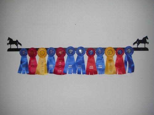 Showoff Black 14ga Steel Award Rack - Horse, Wall Mount or Stall Mount, USA Made