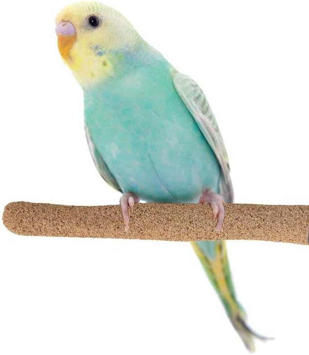 Super Bird Creations SB1151 Sure-Grip Grooming Perch Small, Small Bird Size - Enriches Beak and Foot Health - Ideal for Parrotlets Parakeets Finch Canary - Small Bird Size, 1/2" diam x 6" (Small)