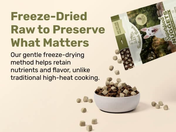 Superfood Nuggets- Premium, Freeze-Dried raw Dog Food Topper or Treat. Powerful Nutrient-Dense Ingredients. No Artificial additives. Beef Tripe and Kale Formula 8oz - 4pk Bundle