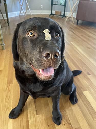 hotspot pets Freeze Dried Beef Liver Treats for Cats & Dogs - 1LB Big Bag- Made in USA,Single Ingredient, All Natural Grain-Free Beef Liver- Perfect for Training, Topper or Reward Snack