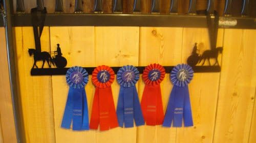 Showoff Black 14ga Steel Award Rack - Horse, Wall Mount or Stall Mount, USA Made