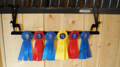 Showoff Black 14ga Steel Award Rack - Horse, Wall Mount or Stall Mount, USA Made