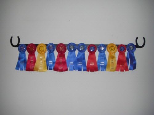 Showoff Black 14ga Steel Award Rack - Horse, Wall Mount or Stall Mount, USA Made