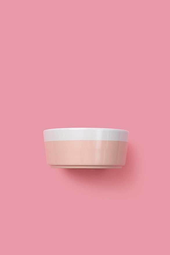 Waggo Dipper Ceramic Dog Bowl for Small and Large Breeds - Heavyweight and Durable Pet Food and Water Dish Crock, Dishwasher Safe, Modern (Rose, Small)