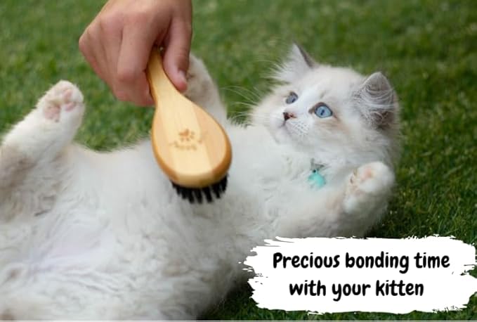 Premium Bamboo Cat Grooming Kit: Cat Brushes for Indoor Cats, Kitten Brush, and Dematting Comb for Long Haired Cats | Bamboo Grooming Supplies with kitten brush