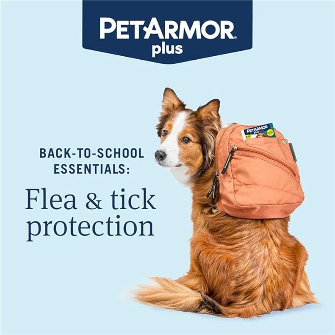 PetArmor Plus Flea and Tick Prevention for Dogs, Dog Flea and Tick Treatment, 12 Doses, Waterproof Topical, Fast Acting, Large Dogs Dogs (45-88 lbs)