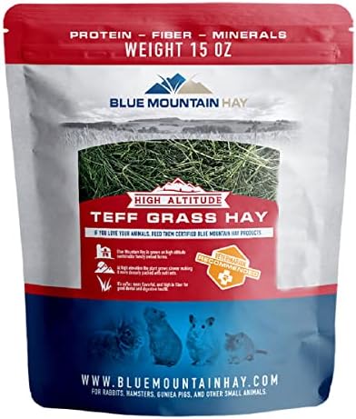 Blue Mountain Hay | Fresh Teff Grass Hay (15 Ounce) | Low NSC, High Fiber, Healthy Weight Management | High-Altitude Hay Pet Food for Rabbits, Guinea Pigs, Chinchillas, Hamsters, and Other Small Pets