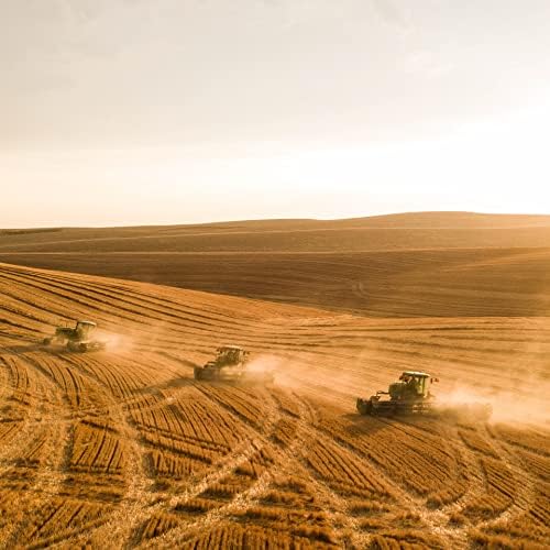 Blue Mountain Hay | Fresh Teff Grass Hay (15 Ounce) | Low NSC, High Fiber, Healthy Weight Management | High-Altitude Hay Pet Food for Rabbits, Guinea Pigs, Chinchillas, Hamsters, and Other Small Pets