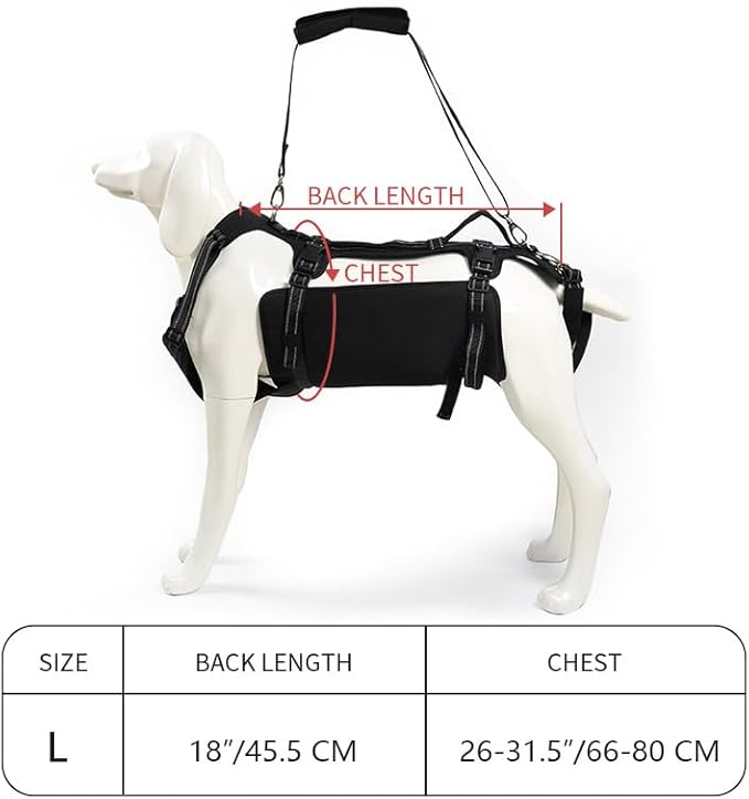 Coodeo Dog Lift Harness, Support & Recovery Sling, Pet Rehabilitation Lifts Vest Adjustable Breathable Straps for Old, Disabled, Joint Injuries, Arthritis, Paralysis Dogs Walk (Black,L)