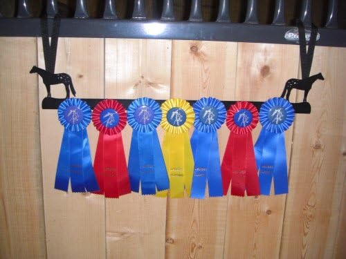 Showoff Black 14ga Steel Award Rack - Horse, Wall Mount or Stall Mount, USA Made