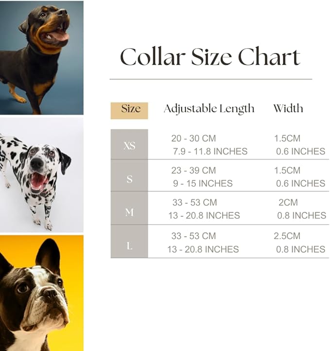 HILLBERRY Dog Collar and Leash Set Adjustable Rainbow Pink Purple Blue Puppy Pet Essentials and Supplies - Size L