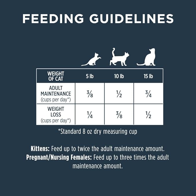Instinct Raw Boost, Natural Dry Cat Food with Freeze Dried Pieces, High Protein, Grain Free Recipe - Real Chicken, 5 lb. Bag