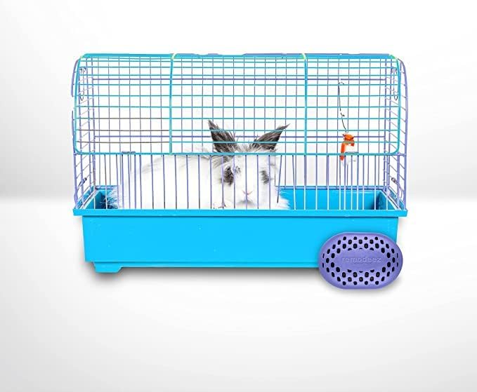 Refills for remodeez Litter Deodorizers and Odor Eliminator, Activated Charcoal, Natural Air Fresheners.