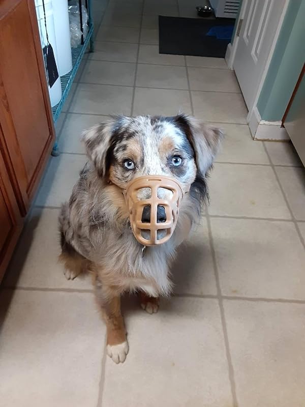 Mayerzon Dog Muzzle, Breathable Basket Muzzles for Small, Medium, Large and X-Large Aggressive Dogs Beagle German Shepherd Doberman, Cage Mouth Guard Stop Biting Chewing for Grooming Training