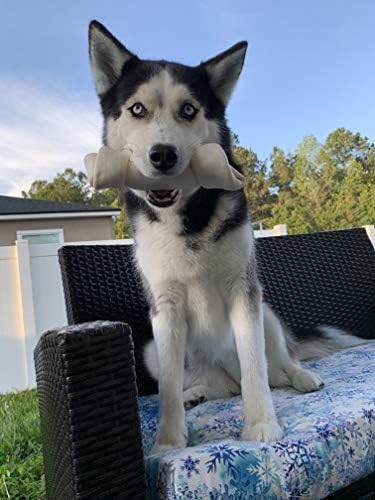 hotspot pets 10 Pack - 6-7 Inch Certified Facility Rawhide Dog Chews - from Grass Fed Brazilian Cows - Promotes Tooth Health and Good Behavior (10 Pack)